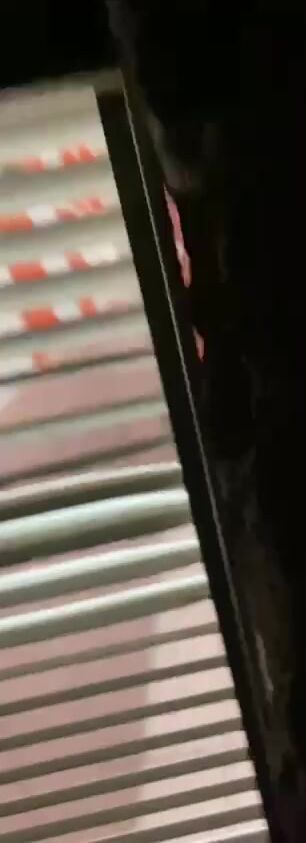 SGleaks Singapore Porn Asian Leak FULL PACK 2025 (127)