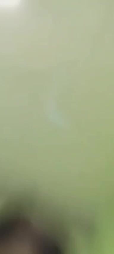 Horny Vietnamese Girls Cam Chat In Singapore Asian Leak (23)